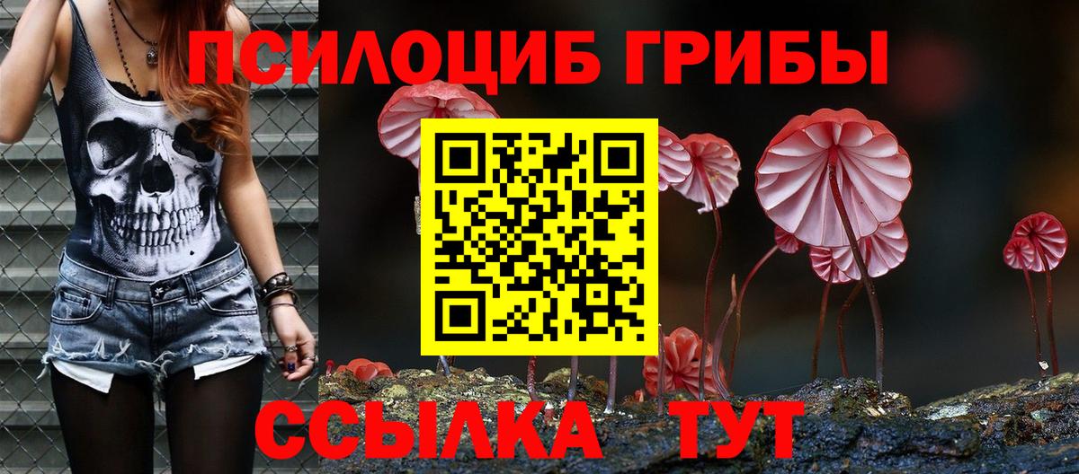 закладка  Псилоцибиновые грибы прущие грибы  Видное  Вход с VPN  Галлюциногенные грибы Psilocybine cubensis 