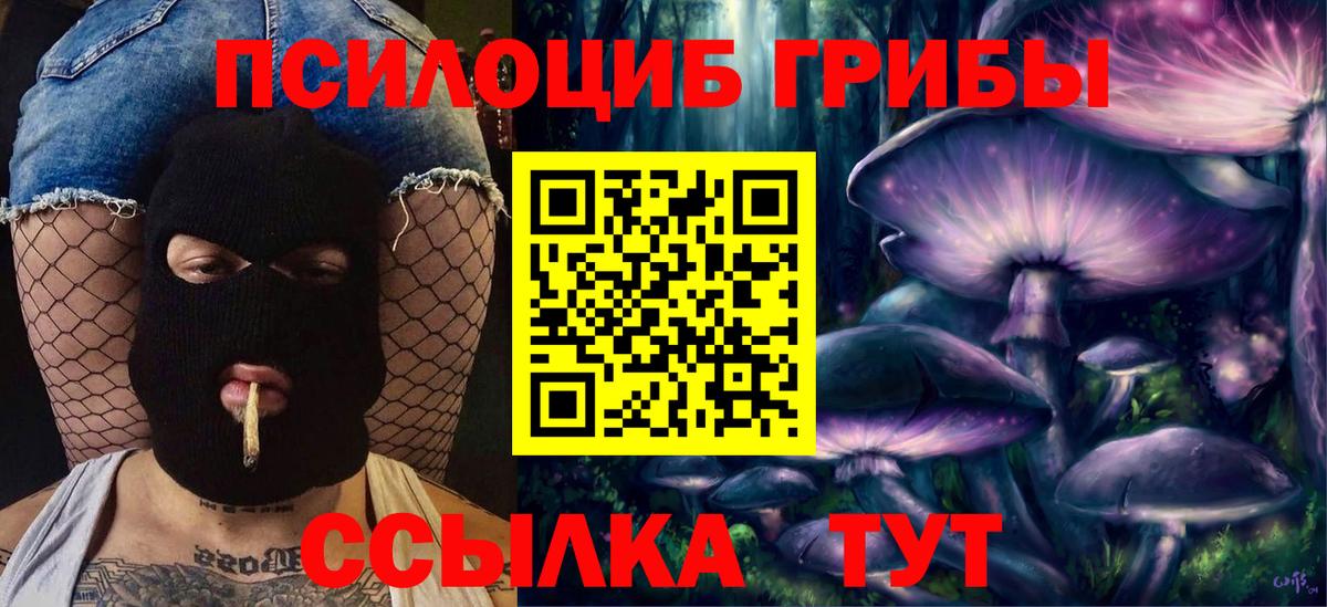 Галлюциногенные грибы ЛСД Видное